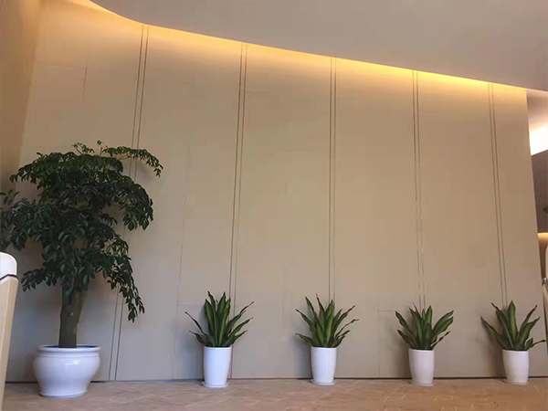 常州室内植物盆栽摆放案例